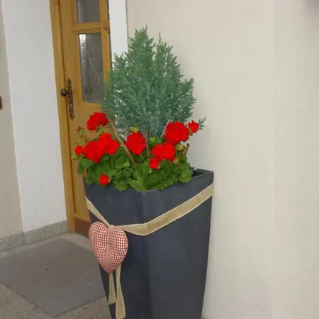 Ciasa Rudiferia In Alta Aparthotel Badia (South Tyrol)